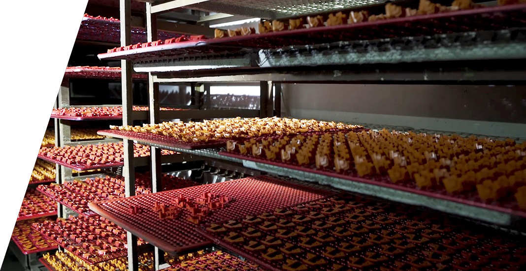 品控保障 品控保障